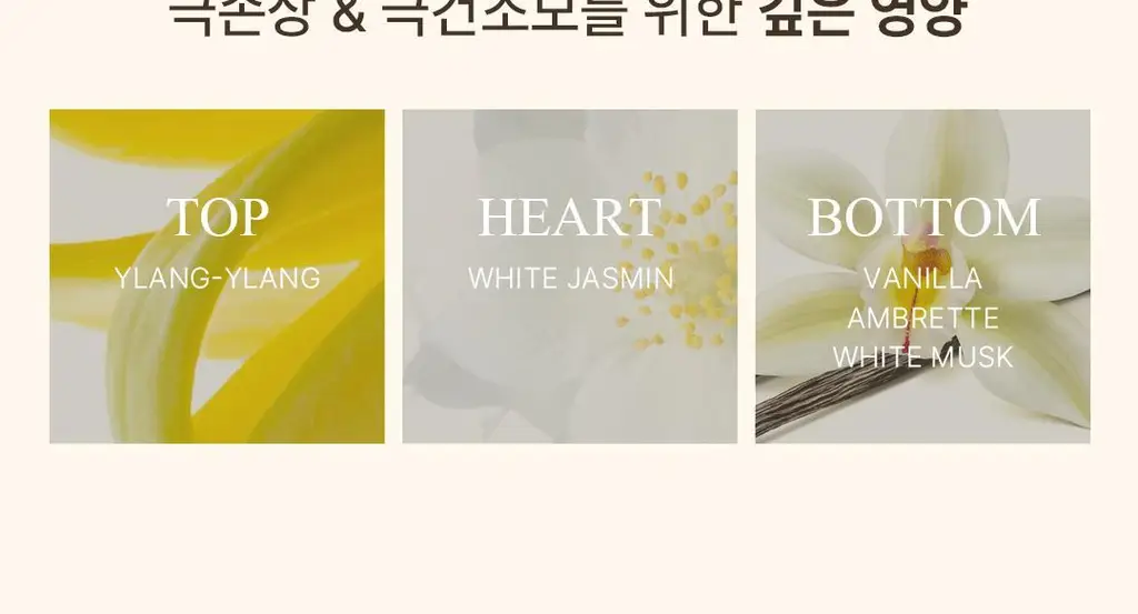 [열보호ㅣ퍼퓸헤어오일] 로레알파리 헤어 오일 에센스 100ml 6종 기획/단품 택 1 상세페이지 13